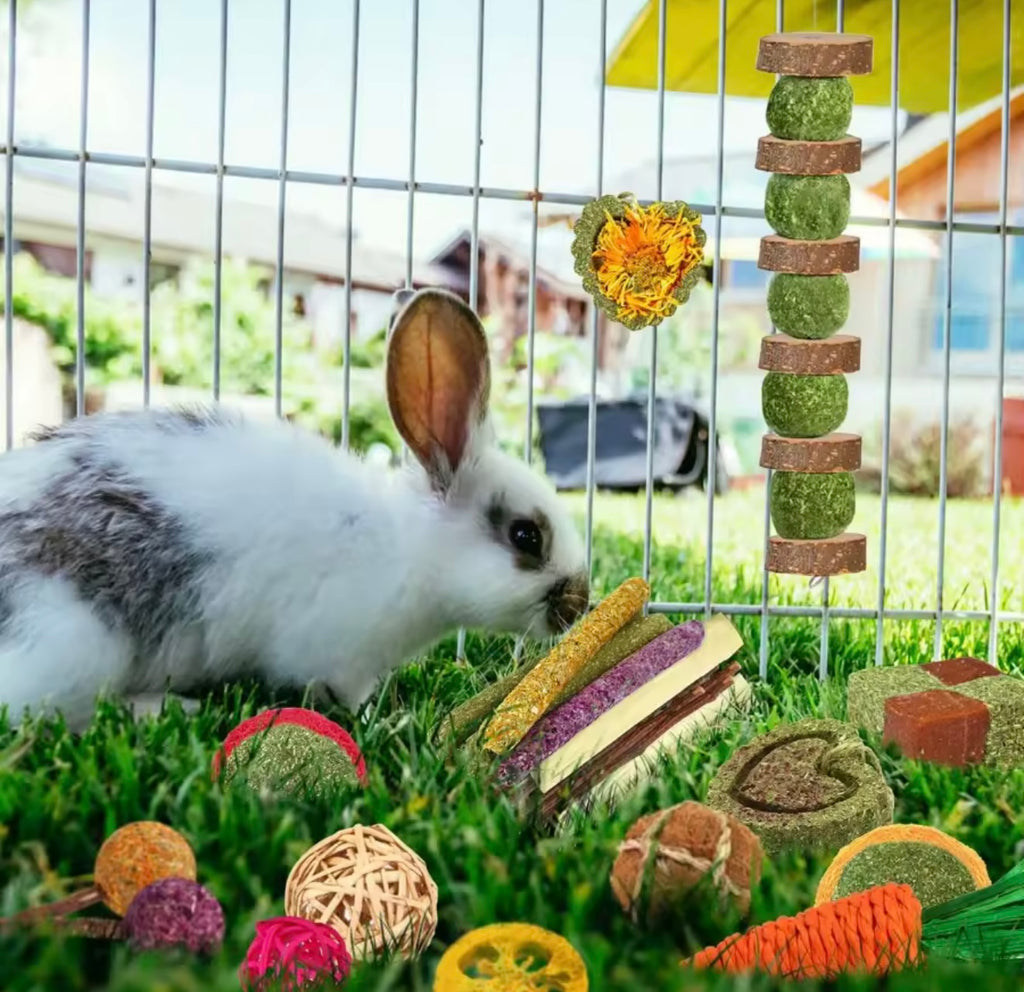 Natural Timothy Hay & Apple Wood Chew Toy Set – 27 Pieces