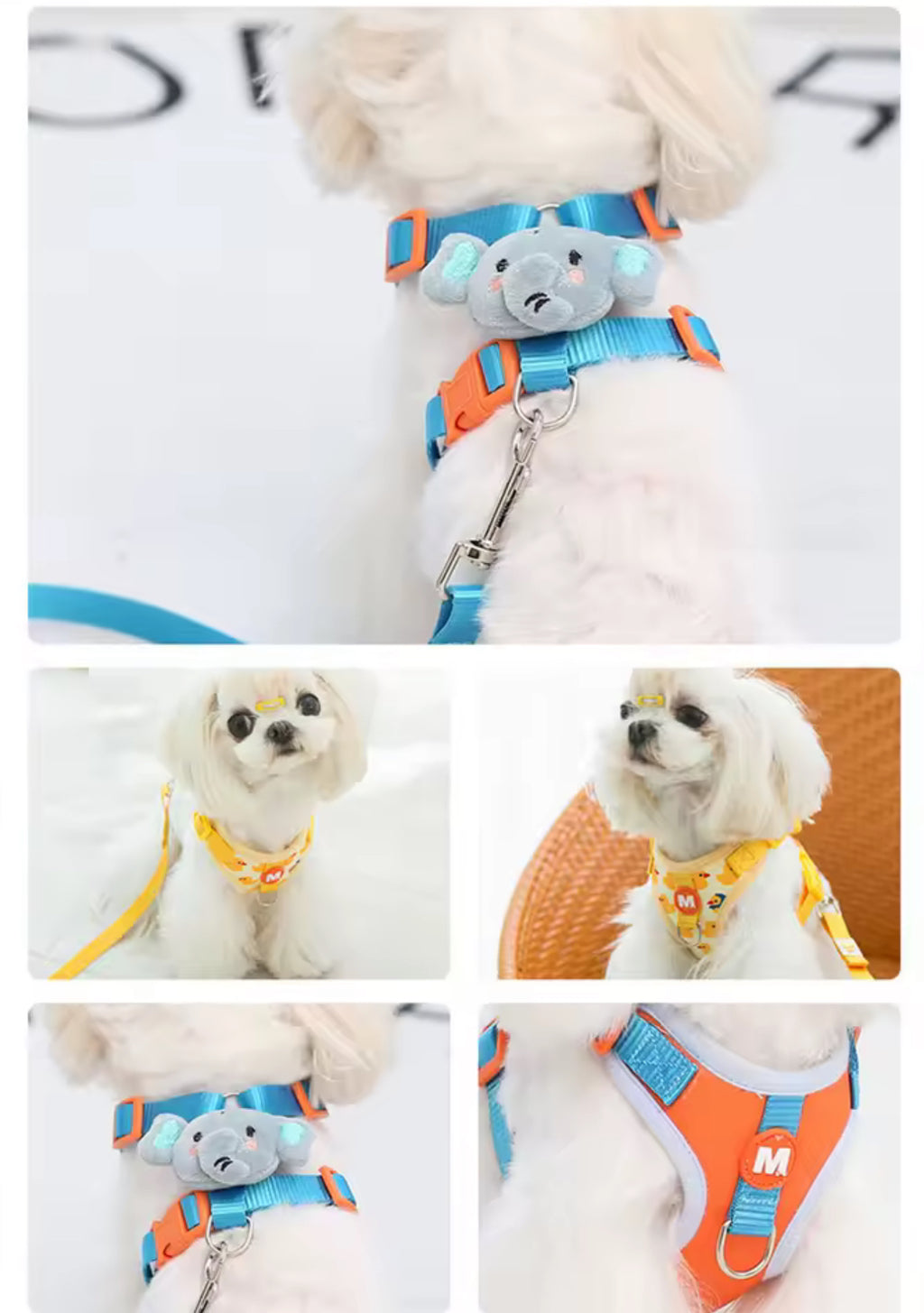 Adjustable Dog Collar & Harness Set – Animal Print Leash for Small to Large Dogs