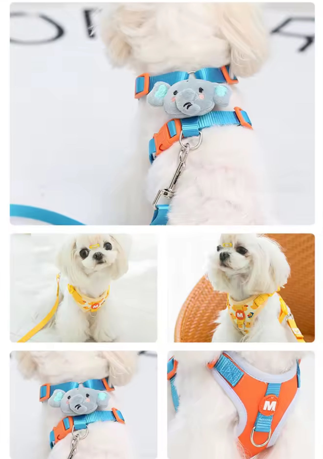 Adjustable Dog Collar & Harness Set – Animal Print Leash for Small to Large Dogs