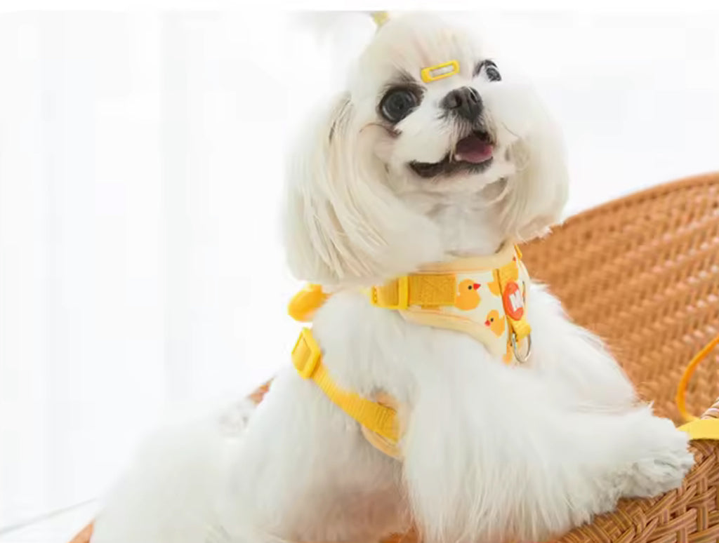 Adjustable Dog Collar & Harness Set – Animal Print Leash for Small to Large Dogs