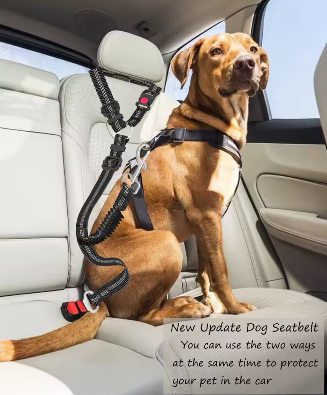 Adjustable Heavy-Duty Dog Car Seat Belt – Durable Nylon Safety Leash for Large Dogs