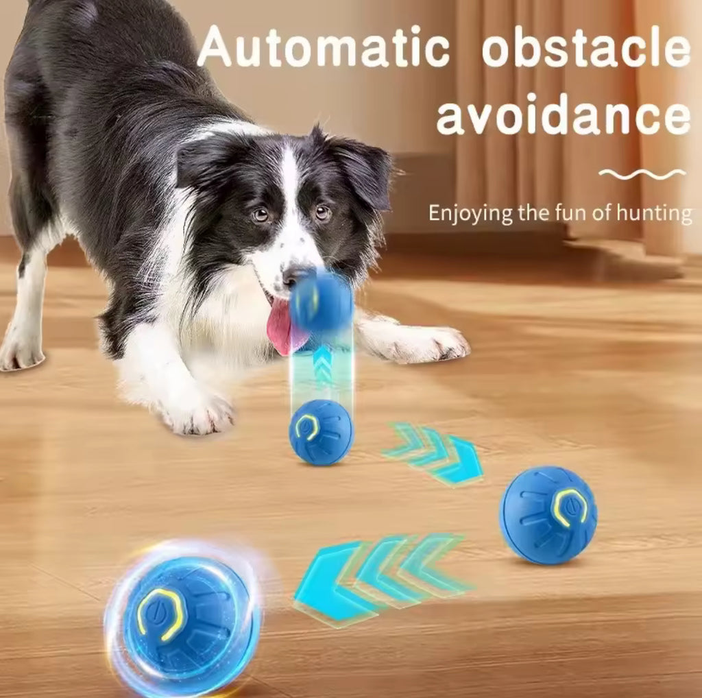 Smart Interactive Electronic Dog & Cat Toy Ball – USB Rechargeable Automatic Moving Ball