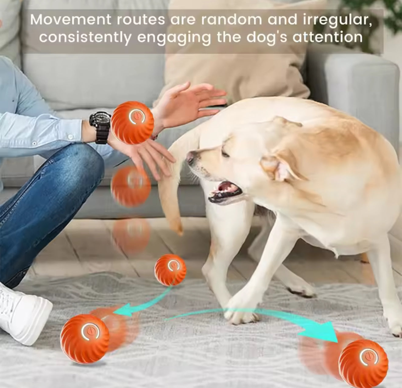 Smart Interactive Electronic Dog & Cat Toy Ball – USB Rechargeable Automatic Moving Ball