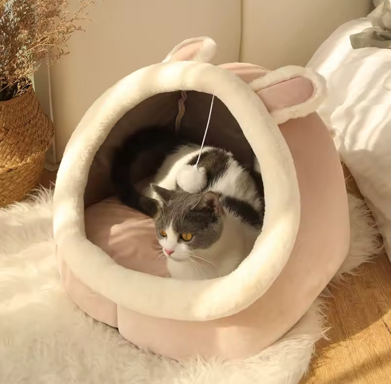 Deep Sleep Character Pet Bed – Washable Foldable Cat & Small Dog Bed