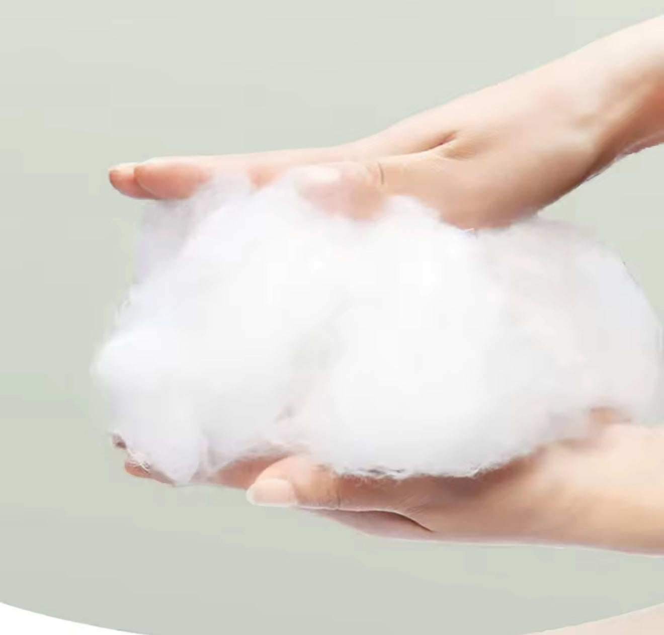 Deep Sleep Character Pet Bed – Washable Foldable Cat & Small Dog Bed