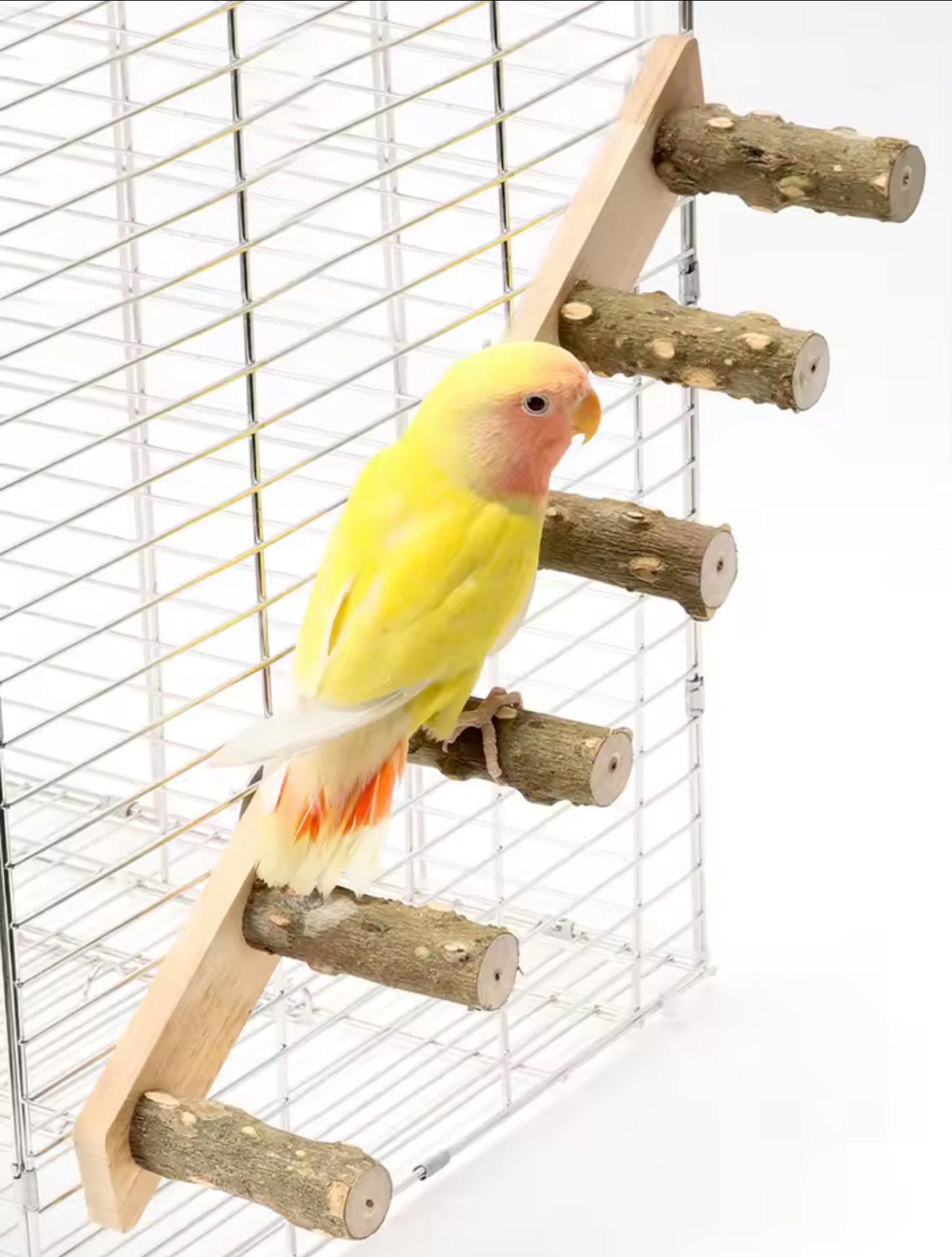Pet Climbing Ladder – 4-6 Step Wooden Toy for Birds, Parrots & Small Animals with Fun Grinding Stick