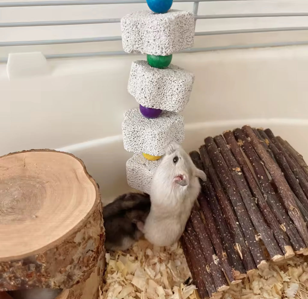 Volcanic Rock Pet Bird Teeth Grinding Toy – Chew & Claw Care for Parrots, Hamsters, and Small Animals