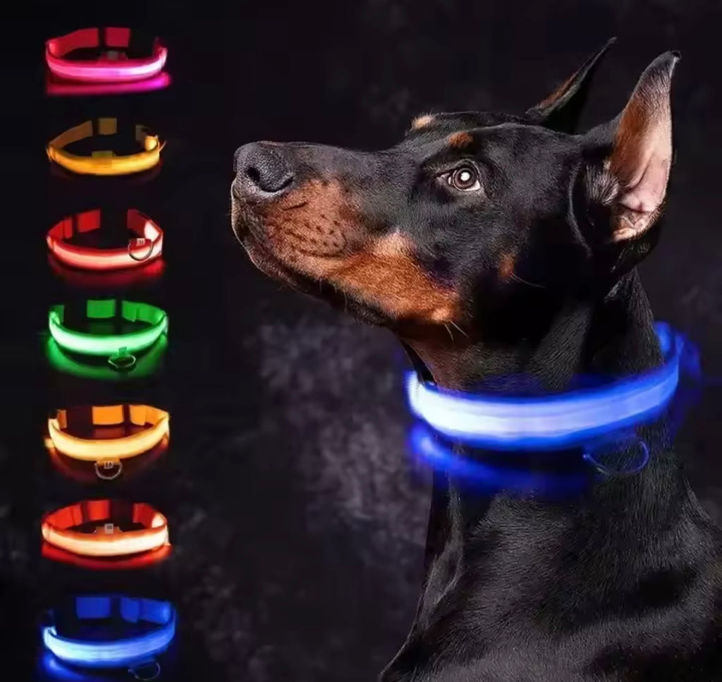 LED Dog Collar – Rechargeable, Waterproof & Adjustable Safety Light