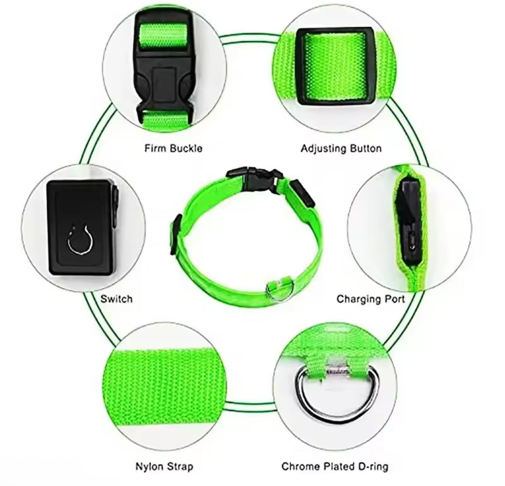 LED Dog Collar – Rechargeable, Waterproof & Adjustable Safety Light