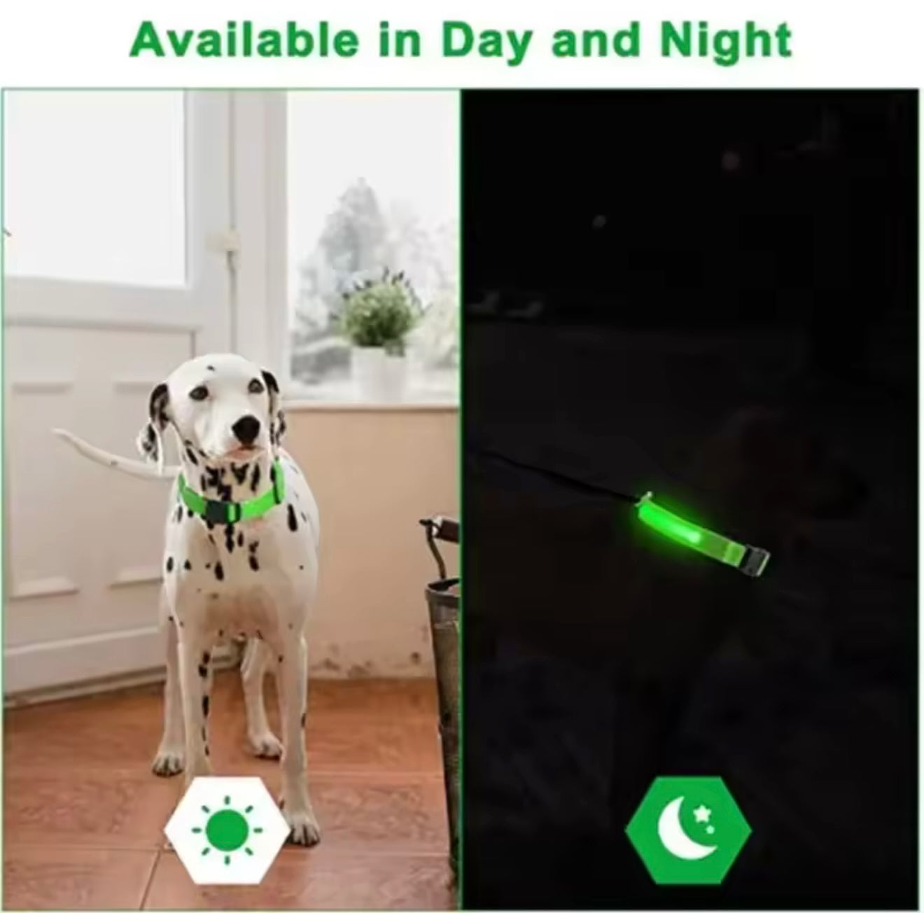 LED Dog Collar – Rechargeable, Waterproof & Adjustable Safety Light