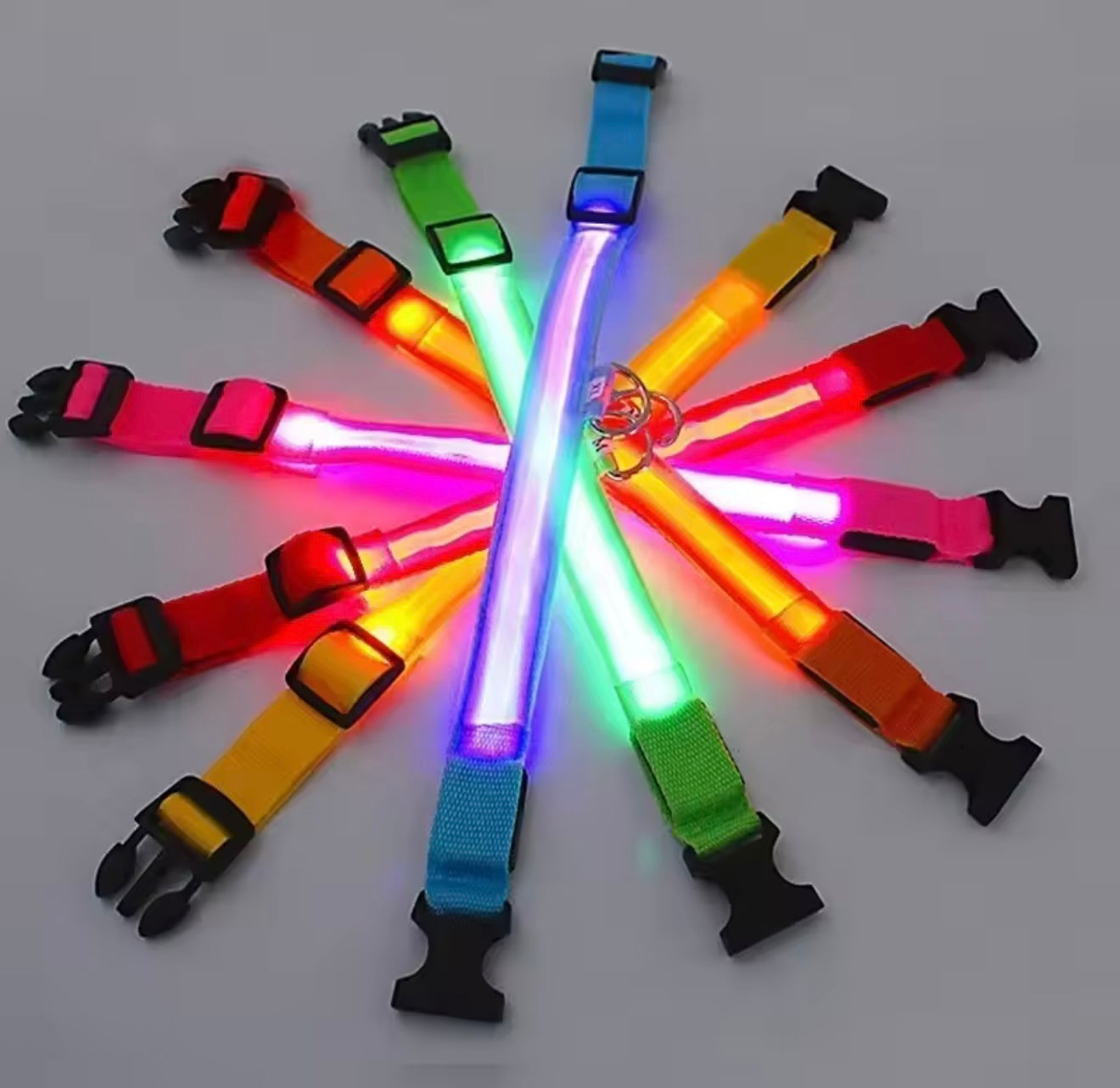 LED Dog Collar – Rechargeable, Waterproof & Adjustable Safety Light