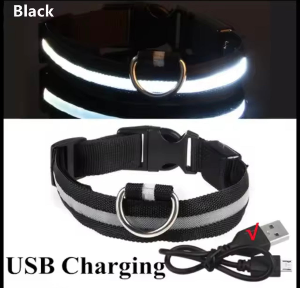 LED Dog Collar – Rechargeable, Waterproof & Adjustable Safety Light