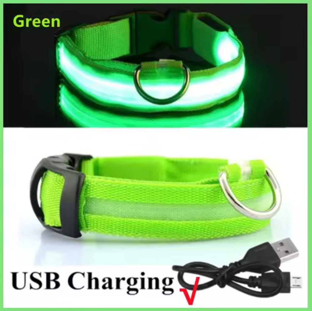 LED Dog Collar – Rechargeable, Waterproof & Adjustable Safety Light