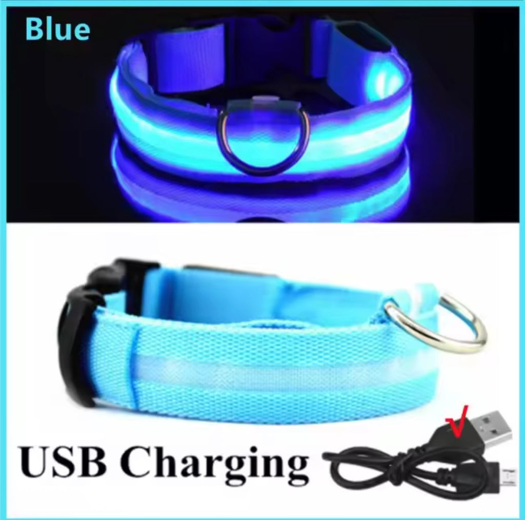 LED Dog Collar – Rechargeable, Waterproof & Adjustable Safety Light