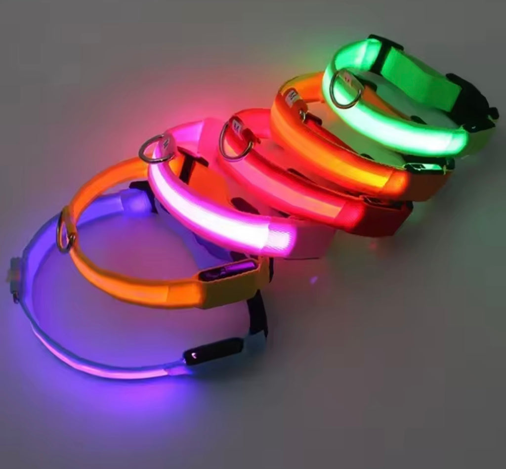 LED Dog Collar – Rechargeable, Waterproof & Adjustable Safety Light
