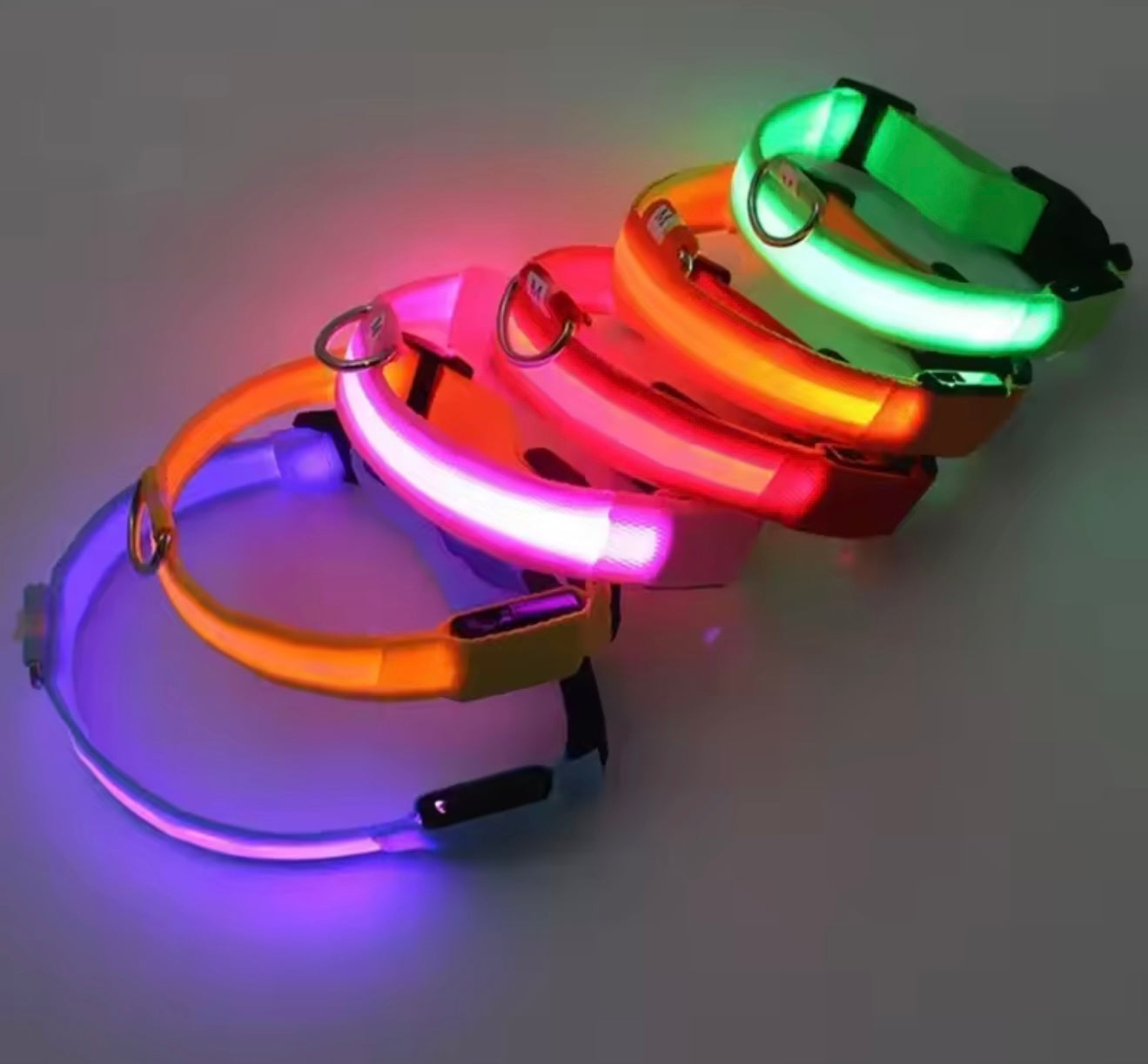 LED Dog Collar – Rechargeable, Waterproof & Adjustable Safety Light