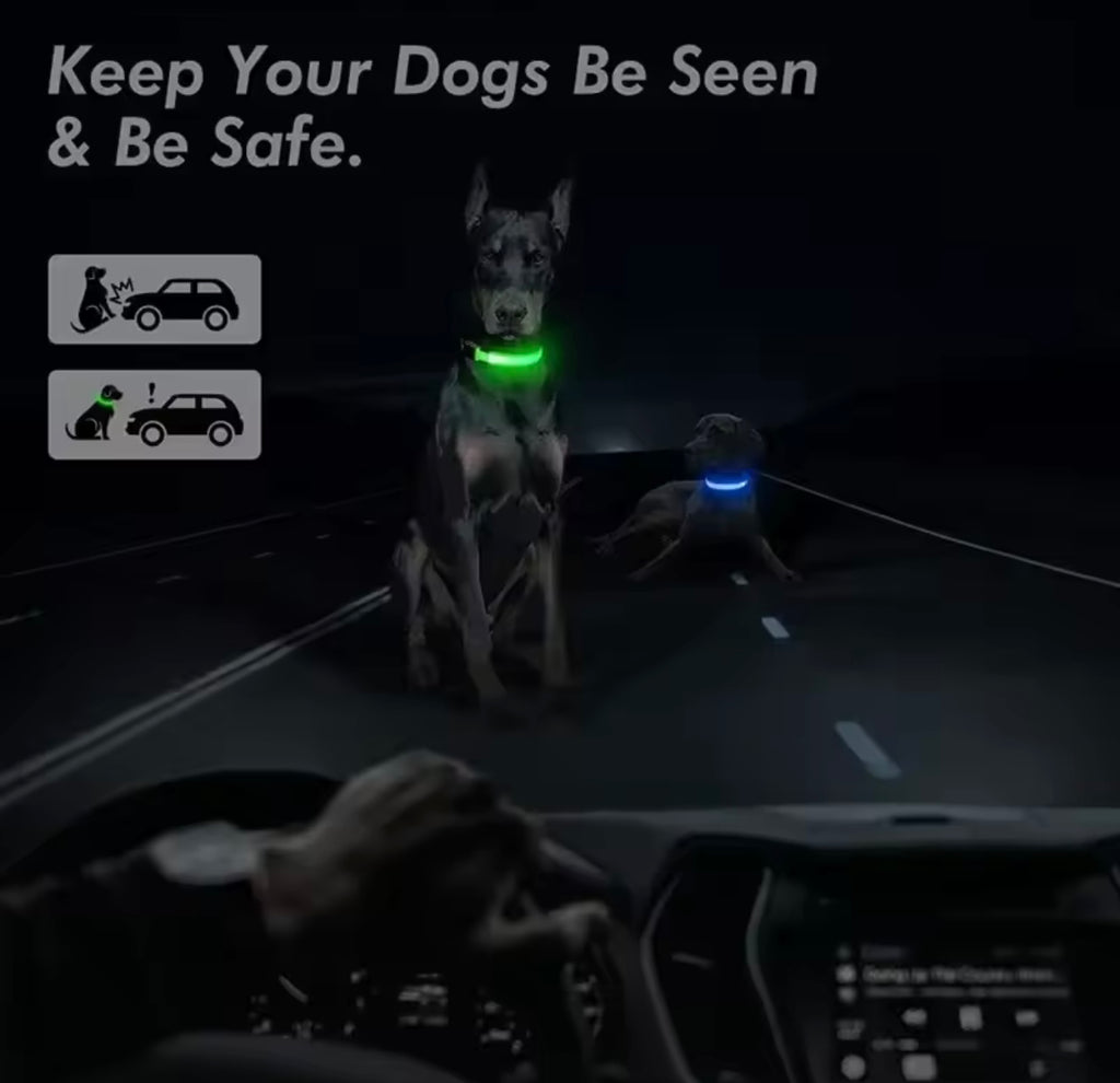 LED Dog Collar – Rechargeable, Waterproof & Adjustable Safety Light