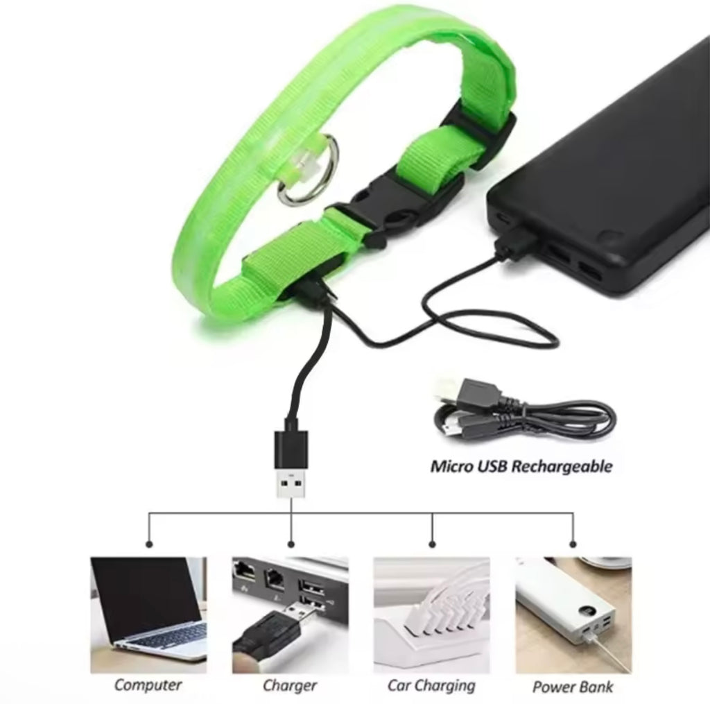 LED Dog Collar – Rechargeable, Waterproof & Adjustable Safety Light