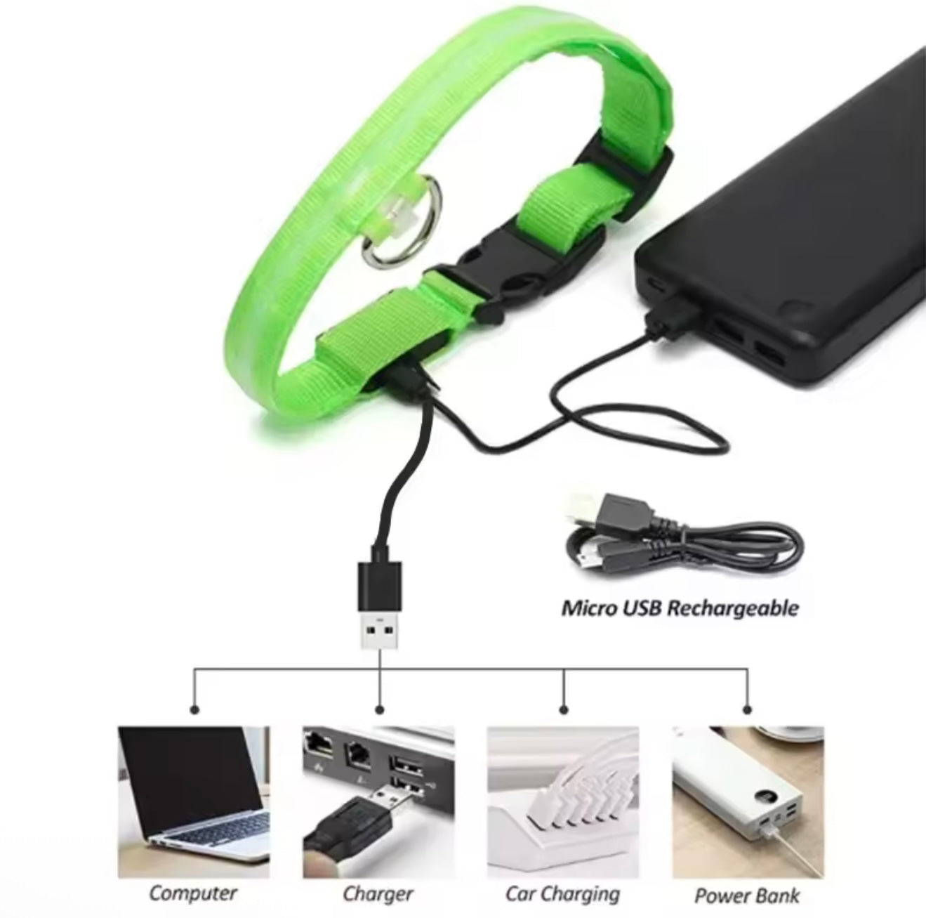 LED Dog Collar – Rechargeable, Waterproof & Adjustable Safety Light