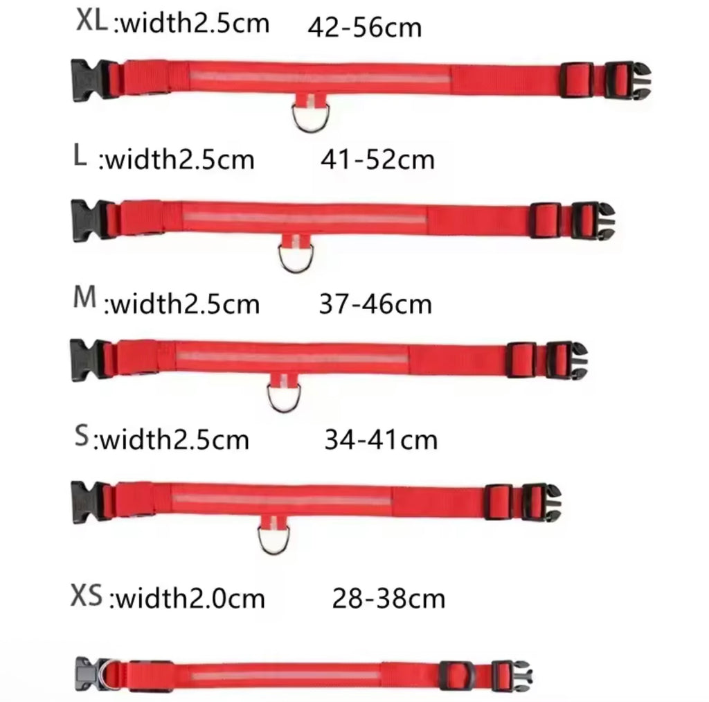 LED Dog Collar – Rechargeable, Waterproof & Adjustable Safety Light