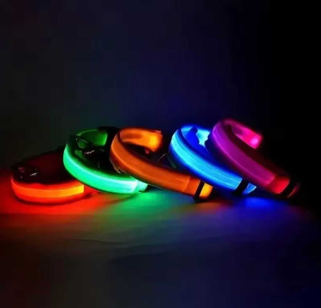 LED Dog Collar – Rechargeable, Waterproof & Adjustable Safety Light