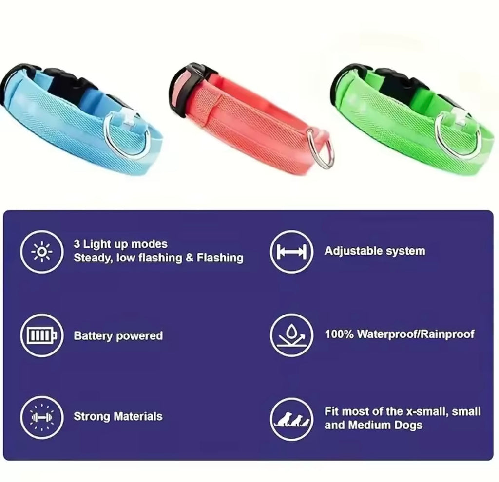 LED Dog Collar – Rechargeable, Waterproof & Adjustable Safety Light
