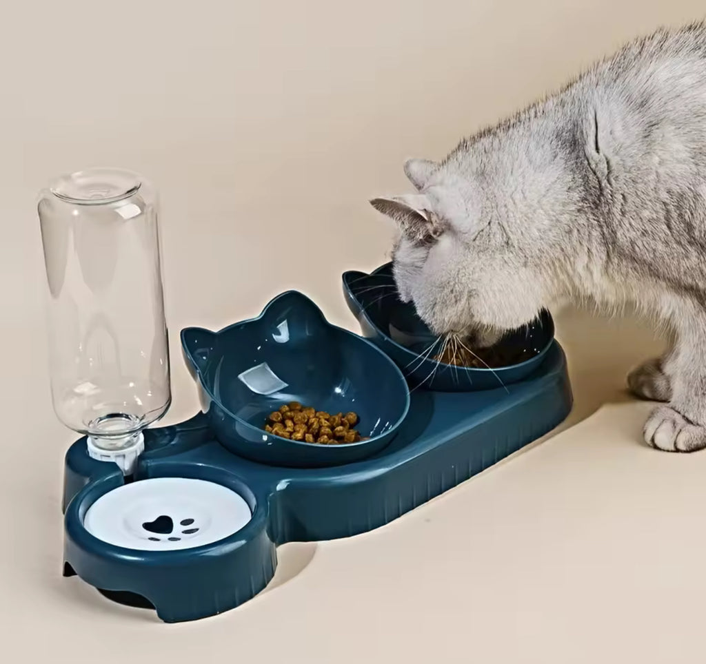 Double Cat Feeder with Water – Dual Bowl Pet Feeding Station for Cats