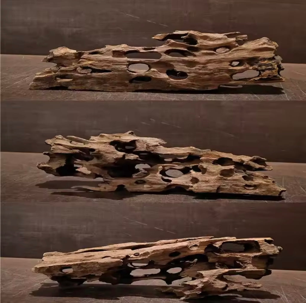 Natural Porous Wood Driftwood Aquarium Ornament