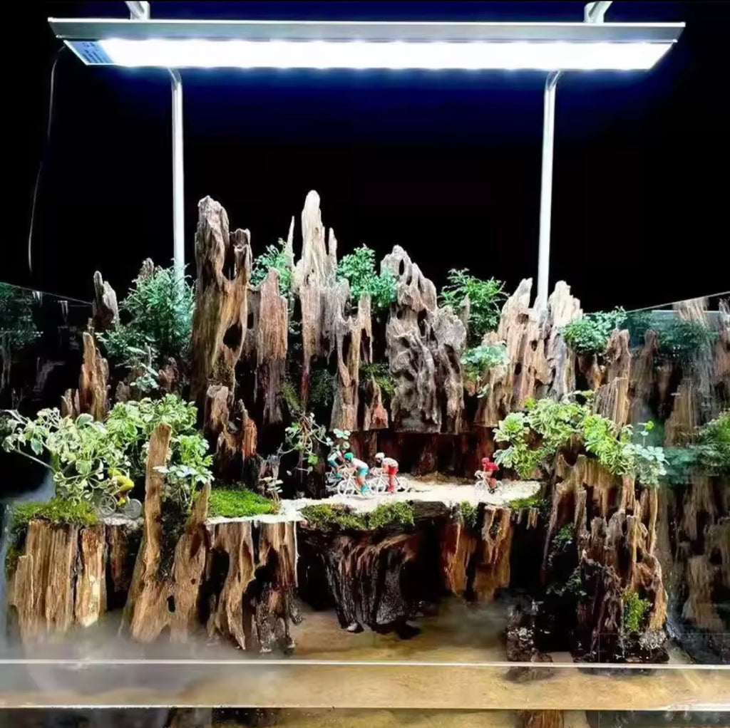 Natural Porous Wood Driftwood Aquarium Ornament