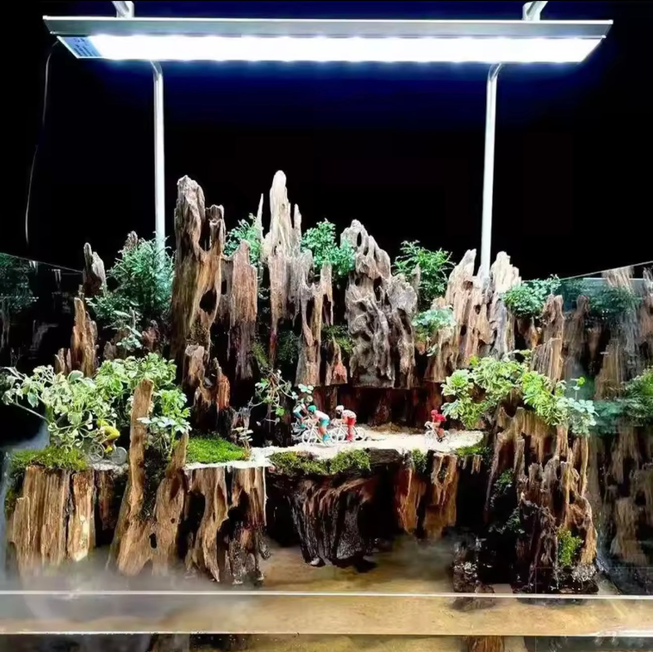 Natural Porous Wood Driftwood Aquarium Ornament