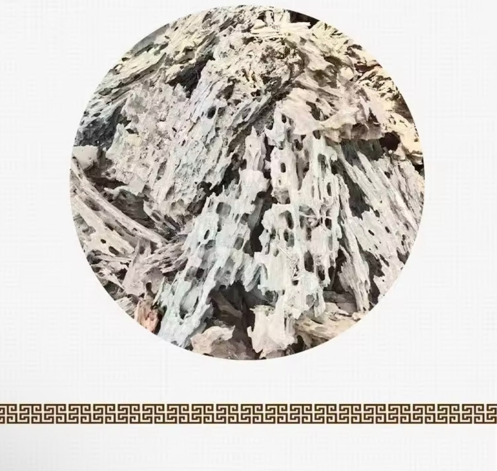 Natural Porous Wood Driftwood Aquarium Ornament