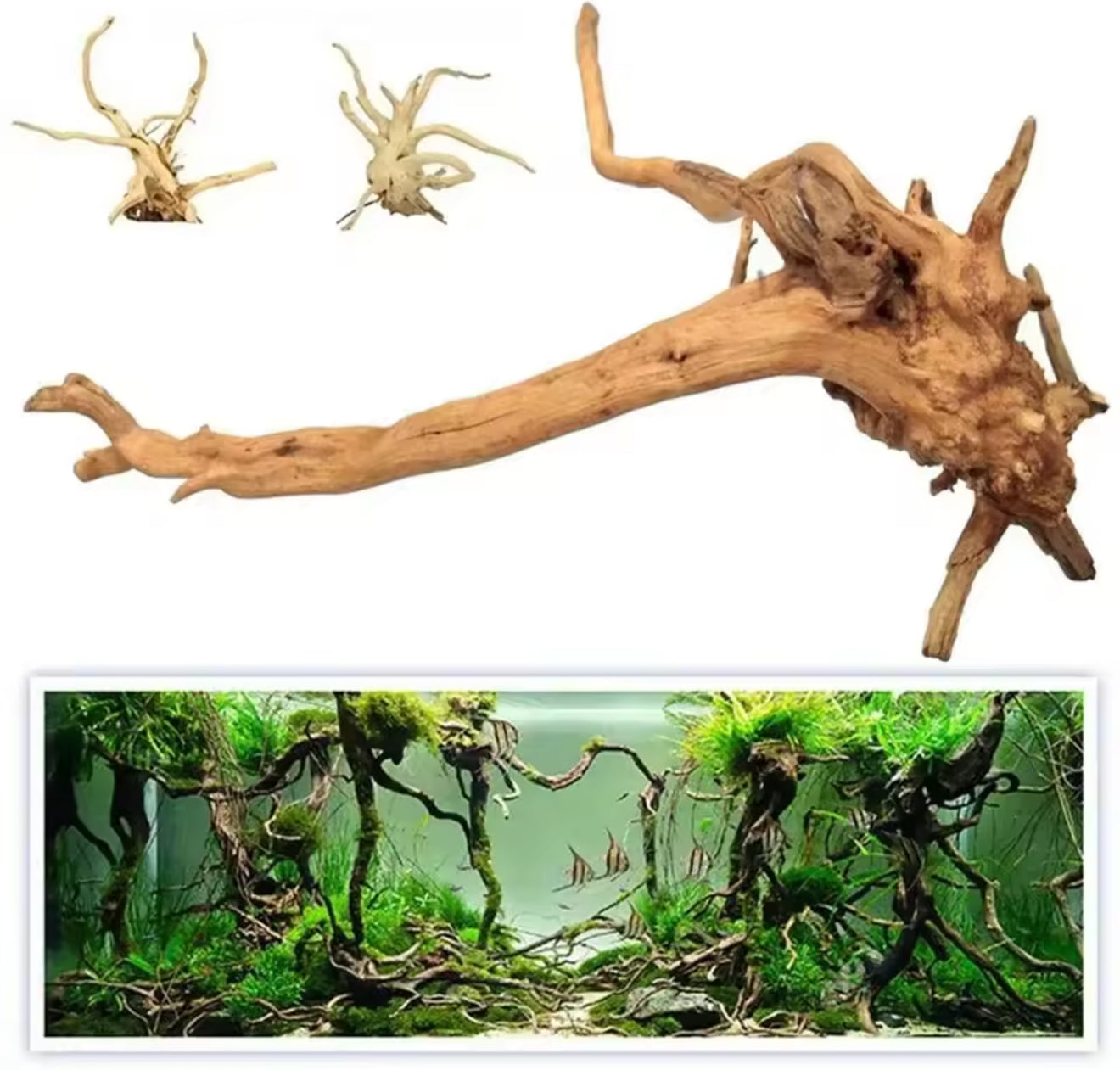 🌿 Natural Wooden Driftwood Tree Trunk Decoration