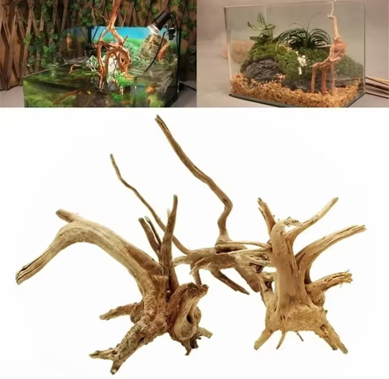 🌿 Natural Wooden Driftwood Tree Trunk Decoration