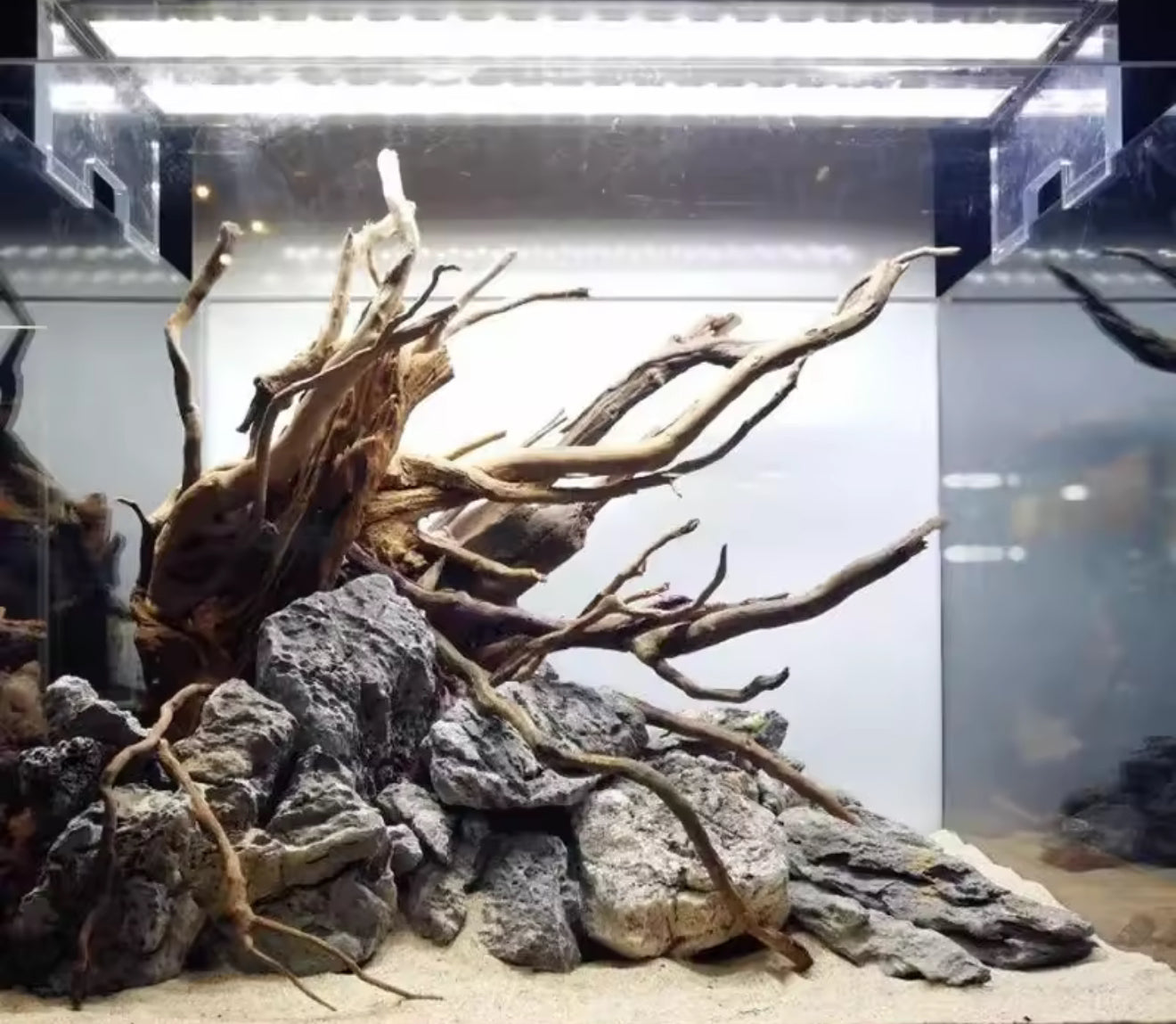 🌿 Natural Wooden Driftwood Tree Trunk Decoration