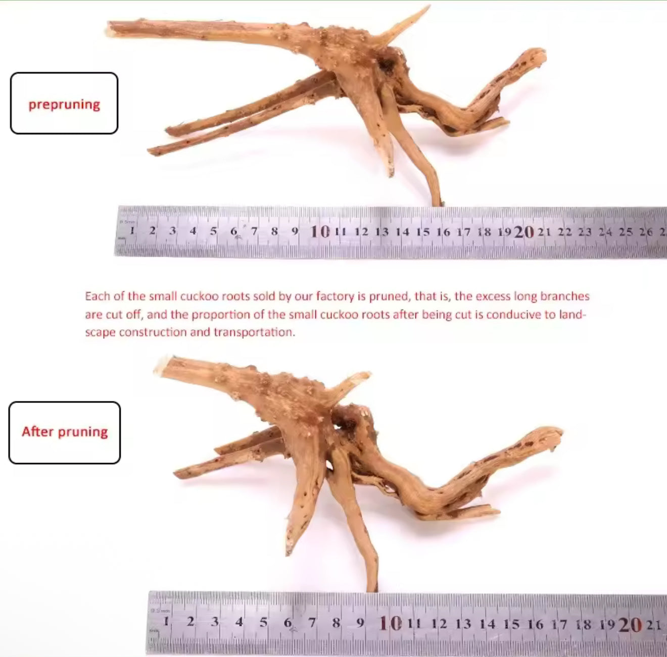 🌿 Natural Wooden Driftwood Tree Trunk Decoration